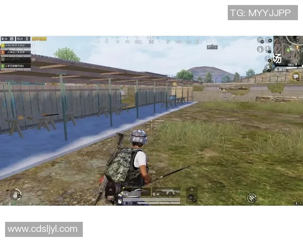 专访李伟揭秘和平精英成功背后的策略与创新之路实时新闻